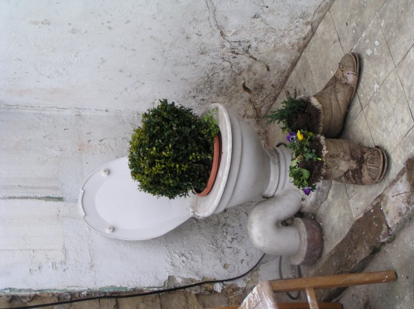 You have reached the last slide